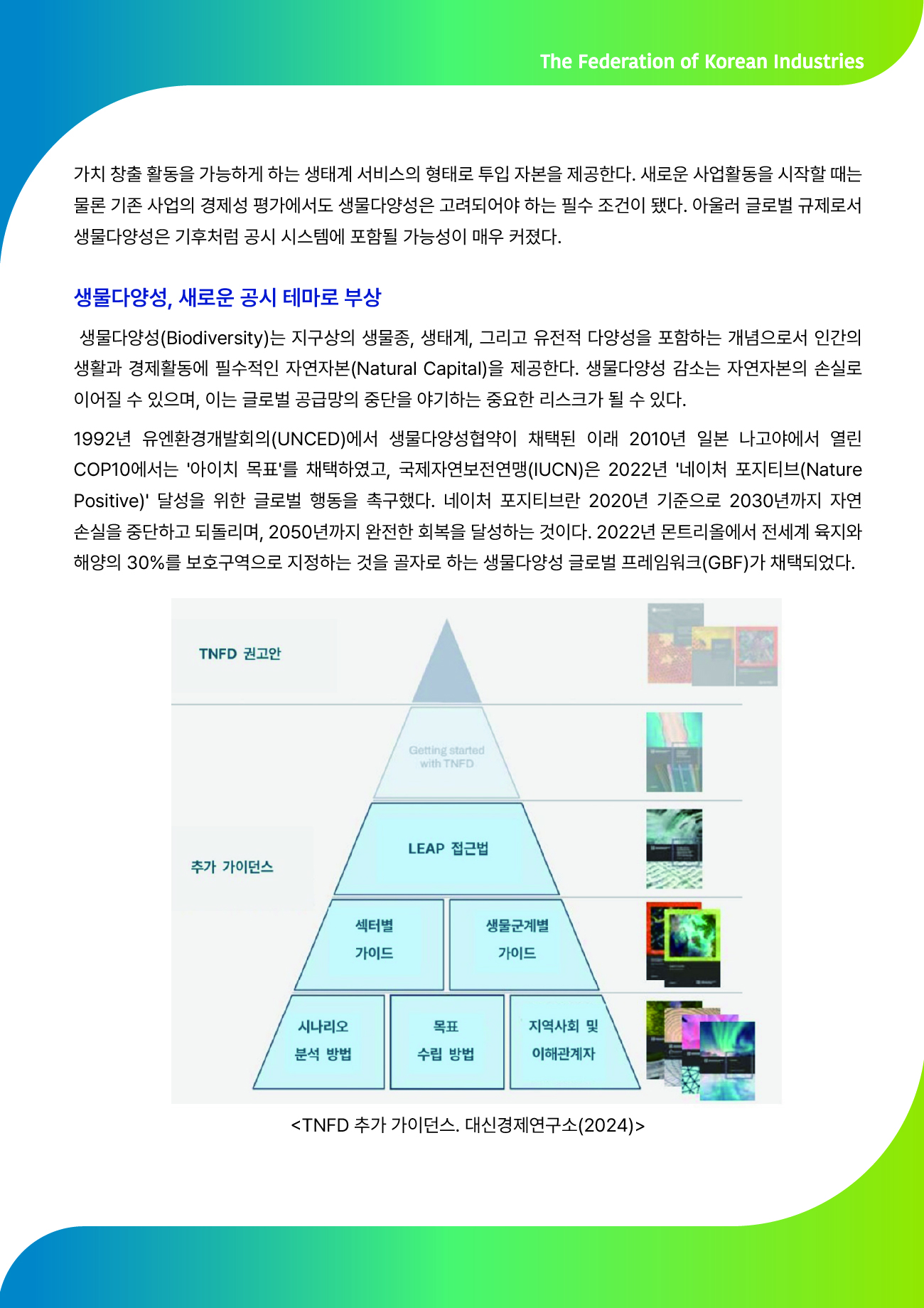 FKI 인사이트